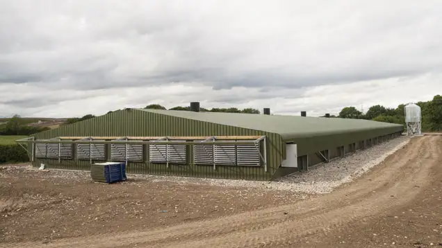 هزینه ساخت سوله مرغداری