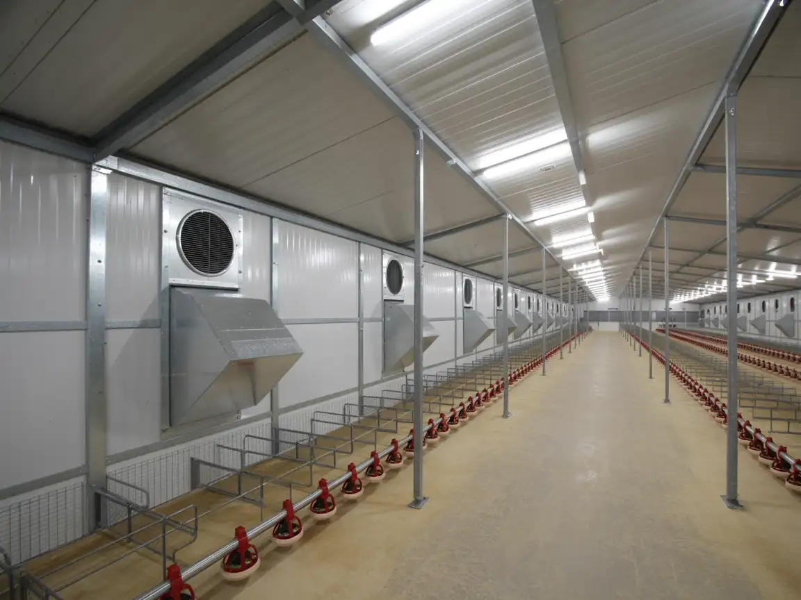 ساخت بهترین سوله مرغداری