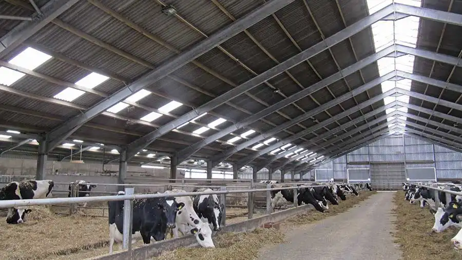 سوله برای دامداری